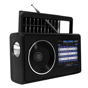 Home Portable FM/AM 8-Band Radio, Bluetooth/USB/TF Music Player, Flashlight (Black)