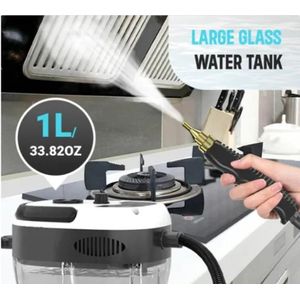 High-temperature and high-pressure steam cleaner